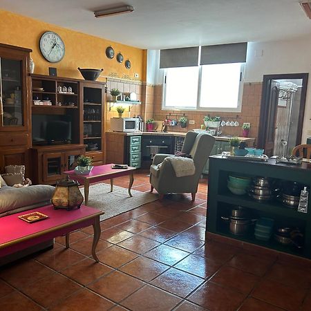 Loft Rural Apartment Tegueste Exterior photo
